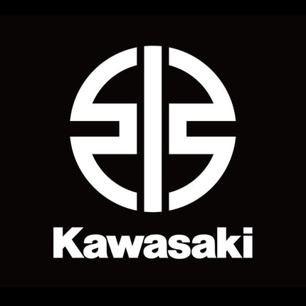 Collection image for: Kawasaki